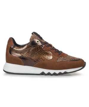 

     Artikel SFW-10078-23-01-Noppi 11.01 in kleur Cognac is een prachtige bruine veterschoen, voor dames, van het merk Floris van Bommel. De zool is van rubber. De voering is leer. De voetwijdte is G. Deze veterschoen is voorzien van een uitneembaar voetbed.
    
    