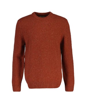 
Gant Pullover 8040230 NEPS C-NE in de kleur Oranje