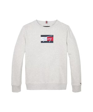 
Tommy Hilfiger Sweat KB0KB09741 in de kleur Licht grijs