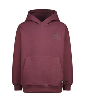 
Deze auberginekleurige jongens sweater van het merk Raizzed is een must-have item voor de garderobe van elke stoere jongen. Gemaakt van 100% katoen, is deze trui niet alleen comfortabel, maar ook van hoge kwaliteit. De diepe paarse kleur geeft een moderne en stijlvolle uitstraling aan elke outfit. De sweater heeft lange mouwen, een ronde hals en een relaxed fit die perfect is voor actieve jongens. Of het nu voor een dag op school is, of een weekendje weg met vrienden, deze sweater is de ideale keuze. Bestel nu en voeg deze trendy aubergine sweater toe aan de collectie van jouw zoon!