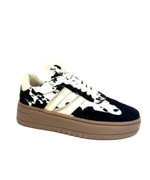 
Model: LPANEMONE-49POE5 Anemone, Kleur: Zwart Combi, D.SCHOENEN VETER