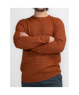 
<p>Ronde hals basic trui voor mannen. Deze fijn gebreide heren trui van Petrol Industries heeft een fijn gestreept brei dessin en is verkrijgbaar in verschillende kleuren.</p>
<ul>
<li>Modern fit</li>
<li> 50% Viscose/ 28% Polyester/ 22% Nylon</li>
</ul>