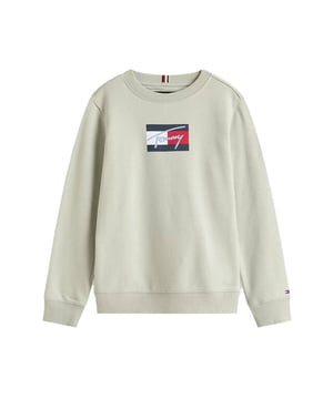
Tommy Hilfiger Sweat KB0KB09741 in de kleur Licht groen