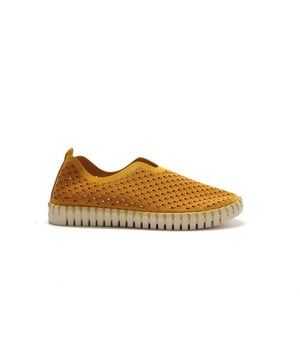 
De Tulip 3275 849 van Ilse Jacobsen is een echte blikvanger. De Tulip 3275 849 is uitgevoerd in de kleur Golden Nugget. Bekijk ook onze overige collectie van Ilse Jacobsen op onze webshop!
