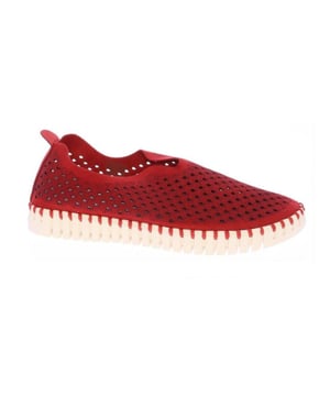 
Ilse jacobsen in onze webshop. Deze lichtgewicht schoen van Ilse Jacobsen is perfect voor elke gelegenheid. De schoen is praktisch, zeer comfortabel en ziet er geweldig uit. De flexibele buitenzool is gemaakt van natuurrubber en het lasergesneden bovenwerk laat de schoen ademen. Hierdoor zijn ze perfect voor op reis. De schoenen zijn gemaakt van gerecycled microvezel en verkrijgbaar in diverse kleuren, variërend van luxueuze basiskleuren tot felle, vrolijke kleuren met bijpassende stiksels. Deze stijl beschikt over een transparante buitenzool en het bovenste deel is gemaakt zonder lijm. Deze toffe en praktische schoen is een absolute must-have en zal nooit uit de mode raken. Deze instappers van Ilse jacobsen, artikel Tulip 3275, bestel je gemakkelijk in onze webshop.