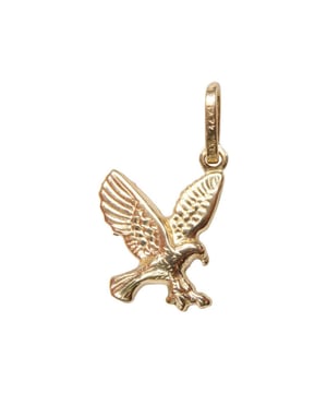 
Merk  Christian      Materiaal  14 karaat geel goud      Ditchtheid  Hol      Type hanger  Adelaar avontuurlijk      Afmetingen  14 x 9 mm      Voor  Dames, Heren      EAN  8719878007173