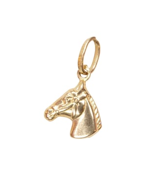 Deze topper uit de Christian collectie scoor je nu in onze Christian outlet met flinke korting. Op V&D is het altijd Christian uitverkoop.
Merk  Christian      Materiaal  14 karaat geel goud      Dichtheid  Hol      Soort  Paard hanger      Afmetingen  14 x 14 mm      Voor  Dames, Heren      EAN  8719878007043