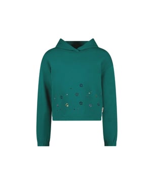 
B.Nosy Meisjes sweater - Stella - Storm groen

Materiaal 95% GOTS, 5% EA