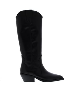 
<h2><div>Alpe Dames Western Laars</div></h2>