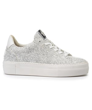 
Artikel SFW-10059 69-02  in de kleur whitecombi shop je gemakkelijk en snel op onze webshop. Bekijk de gehele collectie van Floris van Bommel online