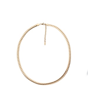 50+5 cm roestvrijstalen ketting met glanzende en matte afwerking. Gepersonaliseerd logolabel.