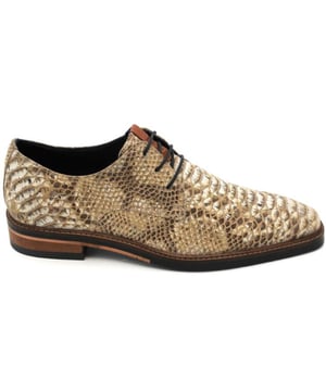 De laatste maten van dit topitem uit onze Jenszen outlet, scoor je met een flinke korting. Het is altijd Jenszen sale in de Herenschoenen sale outlet op V&D.
Jenszen Shoes in onze webshop. Geklede veterschoenen van het topmerk Jenszen. Dit model maakt je outfit helemaal compleet. Deze schoenen van Jenszen, artikelnummer 3973, bestel je gemakkelijk in onze webshop.