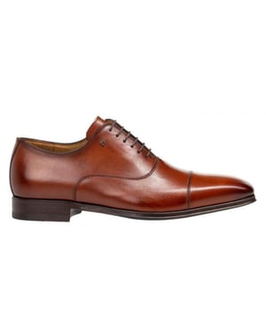 
Artikel SBM-30088 23-01  in de kleur cognac shop je gemakkelijk en snel op onze webshop. Bekijk de gehele collectie van Van Bommel online