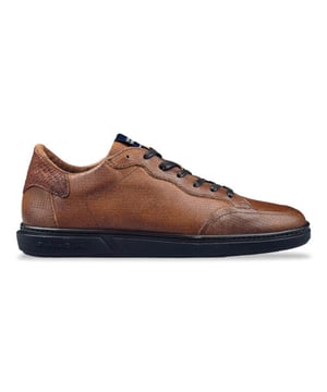 
Artikel SFM-10011 23-03  in de kleur cognac shop je gemakkelijk en snel op onze webshop. Bekijk de gehele collectie van Floris van Bommel online