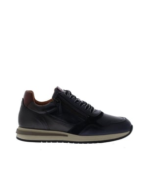 
<h2>Ambitious Temple Heren Sneaker</h2>