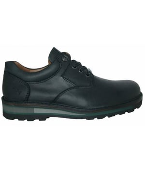 
Deze schoenen van het merk Livingstone ( Piedro ) zijn zeer degelijk gemaakt. geheel leder en een vol rubberen zool wijdte maat 9 is breed