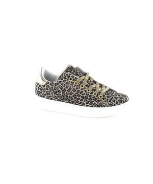 Koop dit Gattino item sterk afgeprijsd in onze Gattino outlet.
Op zoek naar een schoen in de categorie Sneakers? De 22LG96C00 Beige Leopard van Gattino is een aanwinst voor elke schoenenkast. De schoenen van Gattino zijn gemaakt van Leer en hebben een voering van Leer. De 22LG96C00 Beige Leopard is uitgevoerd in de kleur Beige-leopard.