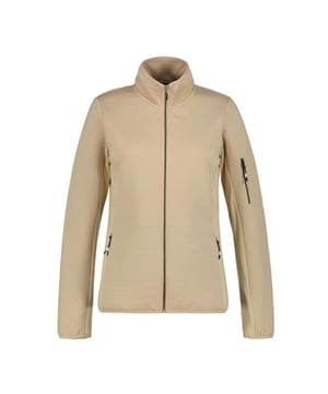 
uit te trekken en kun je snel de temperatuur regelen. De col zorgt voor extra warmte en comfort rond je nek en kan gemakkelijk worden opgerold als je hem niet nodig hebt. Dankzij de platte naden voorkomt deze pully schuren en irritatie, waardoor je ongehinderd kunt skiën. 

Samengevat, de ICEPEAK Ettenheim Pully Ski voor dames is de perfecte keuze voor wintersportliefhebbers die op zoek zijn naar een comfortabele, stijlvolle en functionele tussenlaag voor hun ski-avonturen. Met hoogwaardige materialen, een tijdloze kleur en praktische functies, zul je er ongetwijfeld goed uitzien en je goed voelen op de piste. Kies voor de ICEPEAK Ettenheim Pully Ski en geniet van ultiem comfort en bewegingsvrijheid tijdens al je winterse activiteiten.