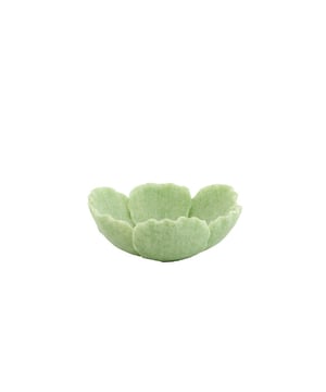 
Shop dit prachtige artikel van Light & LivingSchaal 25,5x24x9,5 cm FRESIA groen is gemaakt en ontwerpen door het Nederlandse merk Light & Living.De belangrijkste kenmerken van het artikel zijn als volgt:Kleur: GroenProduct Lengte: 25.5Product Breedte: 24Producht Hoogte: 9.5Gewicht: 5Light & Living werd meer dan vijftig jaar geleden opgericht. We begonnen met het maken van lampenkappen in een kleine fabriekshal. Al snel kwamen daar lampen bij, zodat we een totaal verlichtingsconcept konden aanbieden. Na vele jaren actief te zijn geweest op de verlichtingsmarkt, zijn we gaan uitbreiden met betaalbare woonaccessoires en (klein)meubelen.Wij weten als geen ander dat thuis de plek is waar mensen zich vaak het prettigst voelen. Een eigen plek, ingericht met comfortabele meubels en sfeervolle verlichting. We denken graag met je mee. Daarom reizen we de hele wereld over op zoek naar de mooiste verlichting en woondecoratie. We zijn altijd op zoek naar dat ene speciale item waar ons hart sneller van gaat kloppen. Deze momenten leggen we vast en vertalen we naar onze producten.Twee keer per jaar presenteren we een nieuwe seizoenscollectie. Zo weten we je elke keer weer te inspireren! - Afmeting: 25.5x24x9.5 - Kleur: Groen - Materiaal: Kunststof
