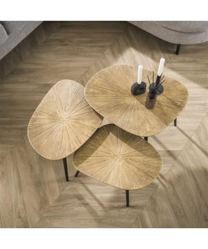 
Geef je woonkamer een stijlvolle upgrade met de Hoyz Collection Salontafel Set-3 Vierhoekig Ray in brons en goud metaal. Deze set van drie salontafels is niet alleen functioneel, maar ook een echte blikvanger. De combinatie van brons en goud geeft een luxe en moderne uitstraling, terwijl de unieke oppervlaktebehandeling van de bladen zorgt voor een bijzonder accent. Creëer een gezellige en trendy sfeer in huis met deze prachtige set!Deze vierhoekige salontafels zijn gemaakt van metaal met een antiek brons/gouden 'ray metal' afwerking. De tafels kunnen speels bij elkaar gezet worden, waardoor je de opstelling naar eigen inzicht kunt aanpassen. Ideaal voor kleinere ruimtes, omdat ze als nesttafels in elkaar geschoven kunnen worden. Maar ook apart van elkaar komen ze goed tot hun recht. De set is perfect om te combineren met andere items uit de Hoyz Collection, waardoor je een harmonieus en trendy interieur kunt creëren.MerkHoyz CollectionProductcategorieSalontafelKleurBrons/GoudMateriaalMetaalVormVierhoekigAantal tafels3DesignMetallic, Antiek Brons/Goud FinishStijlModern, TrendyGeschikt voorBinnenshuis, WoonkamerFeaturesNesting tafelsAfmeting51x62x43 cm (Afmeting grootste tafel)