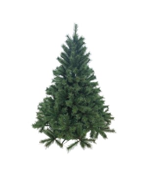 
Serie Frosted is een kerstboom van Excellent Trees uit de premium collectie. De takken van de Premium Frosted zijn gemaakt met harde naalden. De kerstbomen kenmerken zich door de natuurlijke vorm en de takken met witte uiteinden, waardoor het net lijkt alsof de kerstboom net uit het bos is gehaald en nog bevroren dauw op de naalden heeft. Aan de buitenkant zitten vooral harde takken en die geven het uiterlijk van een echte naald kerstboom. De zachte naalden zitten vooral binnenin en zorgen voor een volle boom. De takken zelf zijn voorzien van bruine kern, net als een echte boom. De serie is ook verkrijgbaar met verlichting en mobiele app.Paraplu-ConstructieHet opzetten van deze boom is heel eenvoudig door het paraplu-systeem: de takken zitten al gemonteerd aan de stam en met het handige scharniersysteem vallen ze meteen op hun plek en hoef je de zijtakken alleen nog te vormen met de hand zoals jij het wilt. De hoogtes in de serie Elverum Frosted variëren tussen 150 cm, 180 cm en 210 cm. Kenmerken Elverum Frosted 150 cm:Diameter: 110 cmUitgevoerd met verlichting: neeAantal takken: 612Lange naalden, ca. 4 cmGebruikte materialen PolyetheenInclusief metalen kerstboomvoetVoet met kunststof dopjes om krassen te voorkomenGarantie: 3 jaar fabrieksgarantieRealistische natuurlijke vormDe serie is ook verkrijgbaar met verlichting en mobiele app.Losse verkrijgbare optie: 8719323085176    Excellent Trees® Kerstboom Opbergtas - Kerstboomtas Veiligheid en garantieDeze kerstboom voldoet aan de strenge Europese normen voor brandveiligheid. Bovendien voldoet de boom aan de Europese EN71-2 normen OpbouwadviesDeze kunstkerstboom bestaat uit 3 delen. Om de kerstboom een zo natuurlijk mogelijke look te geven begint u met de takken van het onderste deel uit te vouwen. Door het paraplu systeem vallen de hoofdtakken vanzelf in de goede vorm, waarna je kunt beginnen aan het uitvouwen van de zijtakken.Begin altijd vanuit de stam naar buiten te werken, vouw hierbij takje voor takje uit. Probeer de onderkant van de takken zo plat mogelijk te laten. Een echte boom heeft namelijk ook platte takken. De onderste takken kunt u naar beneden buigen zodat de standaard minder zichtbaar blijft. Vouw op deze manier alle takken van onder naar boven in het juiste model zodat er geen open ruimtes meer zichtbaar zijn. Hoe meer takken de kerstboom heeft des te voller deze wordt.Wat zit er in de verpakkingDeze kerstboom wordt geleverd inclusief een stevige (opberg)doos en een gratis stevige kerstboomvoet met kunststof dopjes.Excellent TreesExcellent Trees is een merk van Kopu B.V.  Al sinds meer dan 10 jaar verkopen we kunstkerstbomen in diverse maten en vormen. U bent dus verzekerd dat u een kerstboom koopt van een gespecialiseerd en ervaren bedrijf.  - Afmeting: 150 cm - Kleur: Groen - Materiaal: PVC