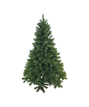 
Serie Frosted is een kerstboom van Excellent Trees uit de premium collectie. De takken van de Premium Frosted zijn gemaakt met harde naalden. De kerstbomen kenmerken zich door de natuurlijke vorm en de takken met witte uiteinden, waardoor het net lijkt alsof de kerstboom net uit het bos is gehaald en nog bevroren dauw op de naalden heeft. Aan de buitenkant zitten vooral harde takken en die geven het uiterlijk van een echte naald kerstboom. De zachte naalden zitten vooral binnenin en zorgen voor een volle boom. De takken zelf zijn voorzien van bruine kern, net als een echte boom. De serie is ook verkrijgbaar met verlichting en mobiele app.Paraplu-ConstructieHet opzetten van deze boom is heel eenvoudig door het paraplu-systeem: de takken zitten al gemonteerd aan de stam en met het handige scharniersysteem vallen ze meteen op hun plek en hoef je de zijtakken alleen nog te vormen met de hand zoals jij het wilt. De hoogtes in de serie Elverum Frosted variëren tussen 150 cm, 180 cm en 210 cm. Kenmerken Elverum Frosted 180 cm:Diameter: 125 cmUitgevoerd met verlichting: neeAantal takken: 932Lange naalden, ca. 4 cmGebruikte materialen PolyetheenInclusief metalen kerstboomvoetVoet met kunststof dopjes om krassen te voorkomenGarantie: 3 jaar fabrieksgarantieRealistische natuurlijke vormDe serie is ook verkrijgbaar met verlichting en mobiele appLos verkrijgbaar: 8720629443843    Excellent Trees® Extra Sterke Opbergtas voor Kerstboom Large voor medium kerstbomen Veiligheid en garantieDeze kerstboom voldoet aan de strenge Europese normen voor brandveiligheid. Bovendien voldoet de boom aan de Europese EN71-2 normen OpbouwadviesDeze kunstkerstboom bestaat uit 3 delen. Om de kerstboom een zo natuurlijk mogelijke look te geven begint u met de takken van het onderste deel uit te vouwen. Door het paraplu systeem vallen de hoofdtakken vanzelf in de goede vorm, waarna je kunt beginnen aan het uitvouwen van de zijtakken.Begin altijd vanuit de stam naar buiten te werken, vouw hierbij takje voor takje uit. Probeer de onderkant van de takken zo plat mogelijk te laten. Een echte boom heeft namelijk ook platte takken. De onderste takken kunt u naar beneden buigen zodat de standaard minder zichtbaar blijft. Vouw op deze manier alle takken van onder naar boven in het juiste model zodat er geen open ruimtes meer zichtbaar zijn. Hoe meer takken de kerstboom heeft des te voller deze wordt.Wat zit er in de verpakkingDeze kerstboom wordt geleverd inclusief een stevige (opberg)doos en een gratis stevige kerstboomvoet met kunststof dopjes.Excellent TreesExcellent Trees is een merk van Kopu B.V.  Al sinds meer dan 10 jaar verkopen we kunstkerstbomen in diverse maten en vormen. U bent dus verzekerd dat u een kerstboom koopt van een gespecialiseerd en ervaren bedrijf.  - Afmeting: 150 cm - Kleur: Groen - Materiaal: PVC