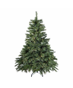 
Serie Frosted is een kerstboom van Excellent Trees uit de premium collectie met een brede vorm. De takken van de Premium Frosted zijn gemaakt met harde naalden. De kerstbomen kenmerken zich door de natuurlijke vorm en de takken met witte uiteinden, waardoor het net lijkt alsof de kerstboom net uit het bos is gehaald en nog bevroren dauw op de naalden heeft. Aan de buitenkant zitten vooral harde takken en die geven het uiterlijk van een echte naald kerstboom. De zachte naalden zitten vooral binnenin en zorgen voor een volle boom. De takken zelf zijn voorzien van bruine kern, net als een echte boom.Smart appDeze kunstkerstbomen worden geleverd met een smart adapter waarmee de warme LED verlichting vanaf de bank te bedienen is door middel van de gratis App. De app is verkrijgbaar  voor Android en iOS middels de QR code op de adapter. Uiteraard kun je de verlichting ook gewoon in een standaard modus laten staan als je geen instellingen wilt doen.Paraplu-ConstructieHet opzetten van deze boom is heel eenvoudig door het paraplu-systeem: de takken zitten al gemonteerd aan de stam en met het handige scharniersysteem vallen ze meteen op hun plek en hoef je de zijtakken alleen nog te vormen met de hand zoals jij het wilt. Kenmerken Elverum Frosted 150 cm met verlichting en app:Diameter: 110 cmUitgevoerd met verlichting: JaMobile app: Ja - optioneel te gebruikenAantal takken: 612Verlichting: 260 LED warm wit Lange naalden, ca. 4 cmGebruikte materialen PolyetheenInclusief metalen kerstboomvoetVoet met kunststof dopjes om krassen te voorkomenGarantie: 3 jaar fabrieksgarantieRealistische natuurlijke vormDe serie is ook verkrijgbaar zonder verlichtingLosse verkrijgbare optie: 8719323085176    Excellent Trees® Kerstboom Opbergtas - Kerstboomtas Veiligheid en garantieDeze kerstboom voldoet aan de strenge Europese normen voor brandveiligheid. Bovendien voldoet de boom aan de Europese EN71-2 normen OpbouwadviesDeze kunstkerstboom bestaat uit 2 delen. Om de kerstboom een zo natuurlijk mogelijke look te geven begint u met de takken van het onderste deel uit te vouwen. Door het paraplu systeem vallen de hoofdtakken vanzelf in de goede vorm, waarna je kunt beginnen aan het uitvouwen van de zijtakken.Begin altijd vanuit de stam naar buiten te werken, vouw hierbij takje voor takje uit. Probeer de onderkant van de takken zo plat mogelijk te laten. Een echte boom heeft namelijk ook platte takken. De onderste takken kunt u naar beneden buigen zodat de standaard minder zichtbaar blijft. Vouw op deze manier alle takken van onder naar boven in het juiste model zodat er geen open ruimtes meer zichtbaar zijn. Hoe meer takken de kerstboom heeft des te voller deze wordt.Wat zit er in de verpakkingDeze kerstboom wordt geleverd inclusief een stevige (opberg)doos en een gratis stevige kerstboomvoet met kunststof dopjes. Verder vindt u er een adapter bij die gebruikt kan worden als u de verlichting vanaf uw telefoon wilt bedienen. De Voordelen als je onze kerstverlichtingsproducten heeft:1. Snelle verbinding met kerstverlichting via Bluetooth 4.02. Met de APP kun je de kerstverlichting instellen zoals jij dat wilt3. Je kunt de verlichting bedienen door muziek af te spelen of audio op te nemen op uw telefoon4. Je kunt de helderheid van de kerstverlichting instellen via de APP5. Je kunt de kerstverlichting laten knipperen via de APP7. Je kunt timers instellen wanneer de verlichting aan en uit moet gaan De app is verkrijgbaar voor Android en iOS middels de QR code op de Smart adapter. Uiteraard kun je de verlichting ook gewoon in een standaard modus laten staan als je geen instellingen wilt doen.Excellent TreesExcellent Trees is een merk van Kopu B.V.  Al sinds meer dan 10 jaar verkopen we kunstkerstbomen in diverse maten en vormen. U bent dus verzekerd dat u een kerstboom koopt van een gespecialiseerd en ervaren bedrijf.  - Afmeting: 150 cm - Kleur: Groen - Materiaal: PVC