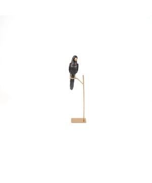 
TALK TO THE PARROT - He won't talk back. This parrot ornament on a stick will keep you company though. Important features:- Parrot is made of polyresin- Stick is made of metal- Size: 8.5x11x44cmStyling tip: Place the parrot ornament in a place that needs height. Merk: Ornament - Parrot - Polyresin - Gold/Black - 8.5x11x44cm