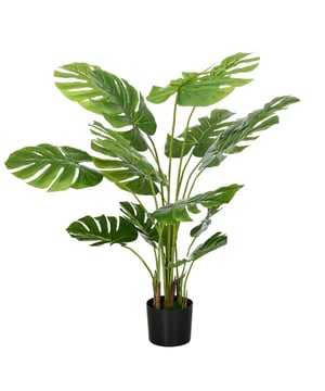 
Wil je je huis verrijken met planten, maar vind je het moeilijk om ze altijd groen te houden? Onze kunstplanten van HOMCOM zijn precies wat je nodig hebt. De kunstplant in pot blijft jarenlang groen zonder dat je hoeft te snoeien of te vormen. Geen water geven, geen bemesting, geen zorgen tijdens het reizen. De realistisch ogende bladeren van de kunstplant creëren een natuurlijke sfeer en vereisen slechts weinig onderhoud.Voordelen:Geschikt voor thuis, kantoor of buitenStabiele pot zorgt voor stevige standInclusief kunstmos en cementgrond voor meer stabiliteitWeinig onderhoud vereistGeen montage nodigKleur: Groen+ZwartMateriaal: PEVA, Kunststof, Metaal, CementSoort: Monstera DeliciosaTotale hoogte: 120cmPotmaat: Ø17,5 x 14,5Hcmkunstplant|Monstera|woonkamerdecoratie|onderhoudsarm|realistisch - Afmeting: - Kleur: Groen - Materiaal: Kunststof