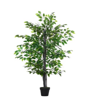 
Wilt u groene planten kweken, maar kunt u ze niet altijd groen houden? Onze kunstpalmplant van Outsunny is precies wat u nodig heeft. Ze blijft jarenlang groen, zonder snoei of vormgeving. Geen water geven, geen bemesting, geen zorgen tijdens het reizen. De realistisch ogende takken kunnen naar wens worden gebogen en vereisen weinig onderhoud. Ze wordt kant-en-klaar in pot geleverd en past bij elke soort decoratie, ideaal voor zowel binnen- als buitenruimtes. Beschrijving: Mooie kunstmatige banyanboom Geschikt voor thuis, op kantoor of buiten, vrolijkt elke ruimte op met zijn natuurlijke stijl Deze plant bevat 756 bladeren die met de hand gebogen kunnen worden Een stevige bloempot zorgt voor een stabiele basis PE-mos en cementaarde worden meegeleverd, dit maakt haar stabieler en realistischer Weinig onderhoud vereistVoordelen:Voegt groen toe zonder onderhoudPerfect voor mensen zonder groene vingersRealistisch ogende takkenGeschikt voor diverse ruimtesKant-en-klaar in potBevat 756 handvormbare bladerenkunstboom|banyanboom|interieurdecoratie|onderhoudsvrij|natuurlijke look - Afmeting: - Kleur: Groen - Materiaal: Kunststof