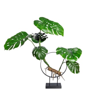 
Op zoek naar een groene eyecatcher? Dan is deze Philodendron kunstplant op een metalen standaard met ring wat je zoekt! De plant zelf is 57 cm hoog en heeft 8 bladeren. De plant is met een kleine boomstam bevestigd op een ring welke staat op een zwarte metalen standaard. De ring heeft een diameter van 40 cm. De standaard / sokkel heeft een afmeting van 24x10x4 cm. Een imposant geheel van totaal 100 cm hoog wat absoluut de aandacht trekt!Van origine komt de Philodendron uit tropische gebieden in Midden- en Zuid-Amerika. De plant geeft dan ook direct een tropische sfeer in huis. De Philodendron heeft grote bladeren die een volle groene kleur hebben en licht glanzen. Zo ook de bladeren van deze kunst Philodendron. Door de natuurgetrouwe kleuren en details is deze nepplant niet van echt te onderscheiden. De imitatie Philodendron is geschikt voor binnengebruik. Kenmerken Kopu® Kunstplant Philodendron 100 cm Product: Kunstplant Philodendron Kleur: Groen Totaal hoogte plant: 57 cm Met 8 levensechte bladeren Totale hoogte inclusief standaard: 100 cm Afmeting zwarte metalen sokkel: 24x10x4 cm Diameter zwarte metalen ring: 40 cm Materiaal bladeren: 100% kunststof Eenvoudig in onderhoud Hoogwaardige kwaliteitKopu® kunstplanten voor thuis en op kantoorKopu® is gespecialiseerd in kunstplanten van hoogwaardige kwaliteit. Overweeg je een kunstplant te kopen, maar wil je er wel één die niet te onderscheiden is van echt? Het ruime assortiment van Kopu® biedt diverse soorten en maten kunstplanten en kunstbloemen. Wil je langdurig genieten van een mooie groene plant of bloemen, zonder ingewikkeld of tijdrovend onderhoud, kies dan voor Kopu®.Voordelen van kunstplanten / kunstbloemen Onderhoudsvrij Geschikt voor vochtige ruimtes Kunstplanten en kunstbloemen blijven jaren mooi - Afmeting: 48 cm - Kleur: Groen - Materiaal: Kunststof