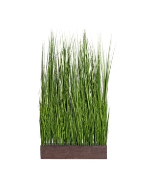 
Deze groene kunstplant is ideaal als ruimteverdeler. In de rechthoekige kunststofbak zitten meerdere volle graspollen van maar liefst 125 cm hoog. Plaats het nepgras bijvoorbeeld in een hoge sierpot voor een raam of tussen bureaus voor meer privacy. Je kunt eenvoudig meerdere bakken naast of voor elkaar plaatsen. Het gras zorgt direct voor een fijne groene kalme sfeer. Het kunstgras is niet van echt weidegras te onderscheiden door de diverse tinten groen, de natuurgetrouwe details en het het hoogwaardige materiaal.De volle graspol wordt geleverd in een kunststof bak. De kunstplant is 125 cm hoog en is geschikt voor binnengebruik. Het grote voordeel is dat het nepgras weinig onderhoud nodig heeft, alleen af en toe afstoffen is voldoende. Kenmerken Kopu® Kunstplant Grasplant 125 cm Product: grasplant type weidegras Kleur: Groen Totaal hoogte: 125 cm Inclusief kunststof rechthoekige bak Afmetingen pot: 13x61x10 cm Materiaal gras 100% polyester Eenvoudig in onderhoud Hoogwaardige kwaliteitKopu® kunstplanten voor thuis en op kantoorKopu® is gespecialiseerd in kunstplanten van hoogwaardige kwaliteit. Overweeg je een kunstplant te kopen, maar wil je er wel één die niet te onderscheiden is van echt? Het ruime assortiment van Kopu® biedt diverse soorten en maten kunstplanten en kunstbloemen. Wil je langdurig genieten van een mooie groene plant of bloemen, zonder ingewikkeld of tijdrovend onderhoud, kies dan voor Kopu®.Voordelen van kunstplanten / kunstbloemen Onderhoudsvrij Geschikt voor vochtige ruimtes Kunstplanten en kunstbloemen blijven jaren mooi - Afmeting: L - Kleur: Groen - Materiaal: Polyester
