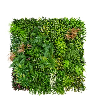 
Deze wandplaat met diverse platenen en bloesem is een echte parel voor je wand. Hij is 100 x 100 cm groot en gemaakt van de fijnste kunststof kunstplanten. De panelen zijn onderling koppelbaar dus als je er meerdere koopt kun je een grote wand maken. Met 4 stuks heb je een oppervlakte van 2 bij 2 meter. De platen zijn UV bestendig, dus je kunt ze ook buiten hangen.Wandplanten zijn erg hot, alleen is het onderhoud intensief. Dat los je op met deze panelen van kunststof planten. De wandplaten zijn gemaakt met een mix van op echt lijkende planten in groen en donkerkrood waardoor het een gevarieerde uitstraling heeft.Kenmerken Kopu® Kunstplant wandplaat kunstplanten mat: Product: Kunstplanten mat Kleur: Groen gemengd Totaal afmeting: 100x100 cm, 12 cm diep De plaat is koppelbaar dus je kunt meerdere platen aan elkaar maken Materiaal bladeren: 100% kunststof Eenvoudig in onderhoud Zeer hoogwaardige kwaliteit De platen zijn UV bestendig, dus je kunt ze ook buiten hangenKopu® kunstplanten voor thuis en op kantoorKopu® is gespecialiseerd in kunstplanten van hoogwaardige kwaliteit. Overweeg je een kunstplant te kopen, maar wil je er wel één die niet te onderscheiden is van echt? Het ruime assortiment van Kopu® biedt diverse soorten en maten kunstplanten en kunstbloemen. Wil je langdurig genieten van een mooie groene plant of bloemen, zonder ingewikkeld of tijdrovend onderhoud, kies dan voor Kopu®.Voordelen van kunstplanten Onderhoudsvrij Geschikt voor vochtige ruimtes Kunstplanten en kunstbloemen blijven jaren mooi - Afmeting: 150 cm - Kleur: Groen - Materiaal: Kunststof