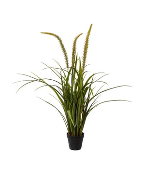 
De Miscanthus, ook wel olifantsgras, is een robuuste grassoort. Het groen is wat donkerder en de grassprieten zijn wat puntiger.  Deze kunst Miscanthus bevat ook drie pluimen waardoor de grasplant een speelse twist krijgt. Het materiaal is van hoge kwaliteit; door de natuurgetrouwe diepe kleuren en details is dit nepgras niet van echt te onderscheiden. De kunstplant is 90 cm hoog en is geschikt voor binnengebruik.De volle graspol wordt geleverd in een zwarte kweekpot zodat je de plant eenvoudig in iedere gewenste pot kunt plaatsen. Het grote voordeel is dat het nepgras weinig onderhoud nodig heeft, alleen af en toe afstoffen is voldoende. Daarnaast vallen de pluimen niet uit, je kunt dus jarenlang genieten van deze mooie Miscanthus kunstplant.Kenmerken Kopu® Kunstplant Grasplant 90 cm Product: grasplant type Miscanthus Kleur: Groen Totaal hoogte: 90 cm Met 3 pluimen Inclusief zwarte kweekpot Hoogte pot: ca 9 cm Verkrijgbaar in verschillende hoogtematen Materiaal gras 100% polyester Eenvoudig in onderhoud Hoogwaardige kwaliteitKopu® kunstplanten voor thuis en op kantoorKopu® is gespecialiseerd in kunstplanten van hoogwaardige kwaliteit. Overweeg je een kunstplant te kopen, maar wil je er wel één die niet te onderscheiden is van echt? Het ruime assortiment van Kopu® biedt diverse soorten en maten kunstplanten en kunstbloemen. Wil je langdurig genieten van een mooie groene plant of bloemen, zonder ingewikkeld of tijdrovend onderhoud, kies dan voor Kopu®.Voordelen van kunstplanten / kunstbloemen Onderhoudsvrij Geschikt voor vochtige ruimtes Kunstplanten en kunstbloemen blijven jaren mooi - Afmeting: L - Kleur: Groen - Materiaal: Polyester