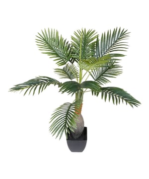 
De Kentiapalm, de Howea Forsteriana, groeit van oorsprong op een eiland nabij Australië. Kenmerkend zijn de vele sierlijke varens die lijken op veren en de stoere hoge stam. De Palm creëert daarmee een exotische sfeer in huis. Maar ook op kantoor of in een praktijkruimte zal deze palm niet misstaan.  Deze kunst Kentiapalm heeft 12 levensechte varens. Levensecht door de hoogwaardige materialen die gebruikt worden, de natuurgetrouwe kleuren en details. Voor het onderhoud zijn geen groene vingers vereist, alleen af en toe afstoffen is voldoende. De palm is geschikt voor binnengebruik en wordt geleverd in een zwarte kunststofpot. Zo kun je de Kentiapalm direct in jouw favoriete sierpot neerzetten.  Kenmerken Kopu® Kunstplant Kentiapalm 100 cm Product: Kunstplant Kentiapalm Kleur: Groen Totaal hoogte plant: 100 cm Met 12 levensechte varens Materiaal bladeren: 100% kunststof Inclusief kweekpot van ca. 14x14 cm Eenvoudig in onderhoud Hoogwaardige kwaliteitKopu® kunstplanten voor thuis en op kantoorKopu® is gespecialiseerd in kunstplanten van hoogwaardige kwaliteit. Overweeg je een kunstplant te kopen, maar wil je er wel één die niet te onderscheiden is van echt? Het ruime assortiment van Kopu® biedt diverse soorten en maten kunstplanten en kunstbloemen. Wil je langdurig genieten van een mooie groene plant of bloemen, zonder ingewikkeld of tijdrovend onderhoud, kies dan voor Kopu®.Voordelen van kunstplanten / kunstbloemen Onderhoudsvrij Geschikt voor vochtige ruimtes Kunstplanten en kunstbloemen blijven jaren mooi - Afmeting: 48 cm - Kleur: Groen - Materiaal: Kunststof