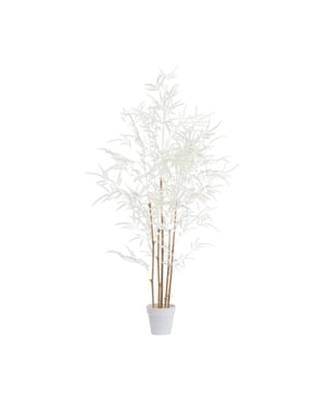 
Shop dit prachtige artikel van Light & LivingLight & Living - Ornament in pot 70x60x120 cm BAMBOO naturel+crème is gemaakt en ontwerpen door het Nederlandse merk Light & Living.De belangrijkste kenmerken van het artikel zijn als volgt:Kleur: BruinProduct Lengte: 70Product Breedte: 60Producht Hoogte: 120Gewicht: 2.1Light & Living werd meer dan vijftig jaar geleden opgericht. We begonnen met het maken van lampenkappen in een kleine fabriekshal. Al snel kwamen daar lampen bij, zodat we een totaal verlichtingsconcept konden aanbieden. Na vele jaren actief te zijn geweest op de verlichtingsmarkt, zijn we gaan uitbreiden met betaalbare woonaccessoires en (klein)meubelen.Wij weten als geen ander dat thuis de plek is waar mensen zich vaak het prettigst voelen. Een eigen plek, ingericht met comfortabele meubels en sfeervolle verlichting. We denken graag met je mee. Daarom reizen we de hele wereld over op zoek naar de mooiste verlichting en woondecoratie. We zijn altijd op zoek naar dat ene speciale item waar ons hart sneller van gaat kloppen. Deze momenten leggen we vast en vertalen we naar onze producten.Twee keer per jaar presenteren we een nieuwe seizoenscollectie. Zo weten we je elke keer weer te inspireren! - Afmeting: 70x60x120 - Kleur: Bruin - Materiaal: Kunststof