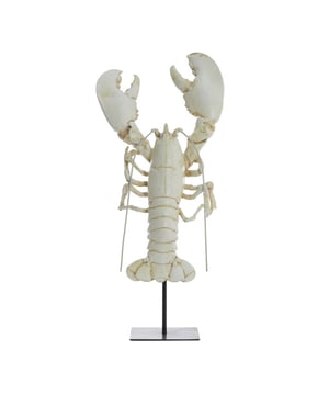 
Shop dit prachtige artikel van Light & LivingOrnament op voet 25x14x56,5 cm LOBSTER gebroken wit is gemaakt en ontwerpen door het Nederlandse merk Light & Living.De belangrijkste kenmerken van het artikel zijn als volgt:Kleur: WitProduct Lengte: 25Product Breedte: 14Producht Hoogte: 56.5Gewicht: 5Light & Living werd meer dan vijftig jaar geleden opgericht. We begonnen met het maken van lampenkappen in een kleine fabriekshal. Al snel kwamen daar lampen bij, zodat we een totaal verlichtingsconcept konden aanbieden. Na vele jaren actief te zijn geweest op de verlichtingsmarkt, zijn we gaan uitbreiden met betaalbare woonaccessoires en (klein)meubelen.Wij weten als geen ander dat thuis de plek is waar mensen zich vaak het prettigst voelen. Een eigen plek, ingericht met comfortabele meubels en sfeervolle verlichting. We denken graag met je mee. Daarom reizen we de hele wereld over op zoek naar de mooiste verlichting en woondecoratie. We zijn altijd op zoek naar dat ene speciale item waar ons hart sneller van gaat kloppen. Deze momenten leggen we vast en vertalen we naar onze producten.Twee keer per jaar presenteren we een nieuwe seizoenscollectie. Zo weten we je elke keer weer te inspireren! - Afmeting: 25x14x56.5 - Kleur: Wit - Materiaal: Kunststof