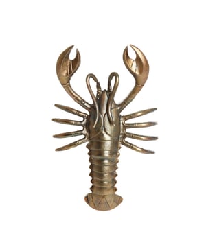
Shop dit prachtige artikel van Light & LivingLight & Living - Ornament 50x32x15 cm LOBSTER antiek brons is gemaakt en ontwerpen door het Nederlandse merk Light & Living.De belangrijkste kenmerken van het artikel zijn als volgt:Kleur: BronsProduct Lengte: 50Product Breedte: 32Producht Hoogte: 15Gewicht: 2.5Light & Living werd meer dan vijftig jaar geleden opgericht. We begonnen met het maken van lampenkappen in een kleine fabriekshal. Al snel kwamen daar lampen bij, zodat we een totaal verlichtingsconcept konden aanbieden. Na vele jaren actief te zijn geweest op de verlichtingsmarkt, zijn we gaan uitbreiden met betaalbare woonaccessoires en (klein)meubelen.Wij weten als geen ander dat thuis de plek is waar mensen zich vaak het prettigst voelen. Een eigen plek, ingericht met comfortabele meubels en sfeervolle verlichting. We denken graag met je mee. Daarom reizen we de hele wereld over op zoek naar de mooiste verlichting en woondecoratie. We zijn altijd op zoek naar dat ene speciale item waar ons hart sneller van gaat kloppen. Deze momenten leggen we vast en vertalen we naar onze producten.Twee keer per jaar presenteren we een nieuwe seizoenscollectie. Zo weten we je elke keer weer te inspireren! - Afmeting: 50x32x15 - Kleur: Brons - Materiaal: Metaal