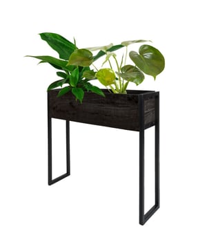 
Met bloemen en planten geef je jouw interieur een exotische twist. Met Plantenbak Faab waan jij je binnen in een groene oase en tropische sferen. Wist je dat Faab ook te gebruiken is als lectuurbak? Waar gaat jouw voorkeur naar uit, planten of boeken en tijdschriften? Met deze prachtige plantenbak/ tijdschriftenbak kun je planten, kranten, tijdschriften etc. overzichtelijk en decoratief opbergen. Door het moderne, stoere design is de lectuurbak een echte blikvanger. Door het formaat is de bak gemakkelijk naast je bank te plaatsen, zodat je al je favorieten spullen binnen handbereik hebt. OnderhoudMangohout heeft in het algemeen weinig onderhoud nodig en is behandeld tegen vocht en vlekken. Wij geven echter geen garantie op het eventueel ontstaan van oneffenheden. Om beschadigingen, vlekken en kringen te voorkomen, raden wij aan om onderzetters en/of viltjes te gebruiken. Merk: Home67 Materiaal: Mangohout,Metaal Kleur: Zwart EAN: 8720769970902