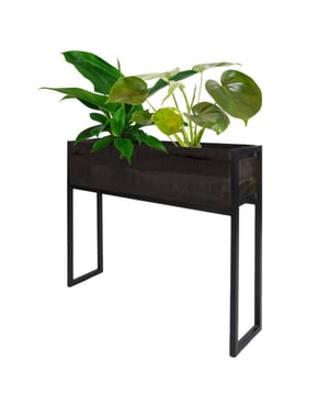 
Met bloemen en planten geef je jouw interieur een exotische twist. Met Plantenbak Faab waan jij je binnen in een groene oase en tropische sferen. Wist je dat Faab ook te gebruiken is als lectuurbak? Waar gaat jouw voorkeur naar uit, planten of boeken en tijdschriften? Met deze prachtige plantenbak/ tijdschriftenbak kun je planten, kranten, tijdschriften etc. overzichtelijk en decoratief opbergen. Door het moderne, stoere design is de lectuurbak een echte blikvanger. Door het formaat is de bak gemakkelijk naast je bank te plaatsen, zodat je al je favorieten spullen binnen handbereik hebt. OnderhoudMangohout heeft in het algemeen weinig onderhoud nodig en is behandeld tegen vocht en vlekken. Wij geven echter geen garantie op het eventueel ontstaan van oneffenheden. Om beschadigingen, vlekken en kringen te voorkomen, raden wij aan om onderzetters en/of viltjes te gebruiken. Merk: Home67 Materiaal: Mangohout,Metaal Kleur: Zwart EAN: 8720769970919