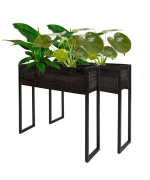 
Met bloemen en planten geef je jouw interieur een exotische twist. Met Plantenbak Faab waan jij je binnen in een groene oase en tropische sferen. Wist je dat Faab ook te gebruiken is als lectuurbak? Waar gaat jouw voorkeur naar uit, planten of boeken en tijdschriften? Met deze prachtige plantenbak/ tijdschriftenbak kun je planten, kranten, tijdschriften etc. overzichtelijk en decoratief opbergen. Door het moderne, stoere design is de lectuurbak een echte blikvanger. Door het formaat is de bak gemakkelijk naast je bank te plaatsen, zodat je al je favorieten spullen binnen handbereik hebt. Set van 2: 84 x 68 x 20 cm 72 x 68 x 20 cm OnderhoudMangohout heeft in het algemeen weinig onderhoud nodig en is behandeld tegen vocht en vlekken. Wij geven echter geen garantie op het eventueel ontstaan van oneffenheden. Om beschadigingen, vlekken en kringen te voorkomen, raden wij aan om onderzetters en/of viltjes te gebruiken. Merk: Home67 Materiaal: Mangohout,Metaal Kleur: Zwart EAN: 8720769970926