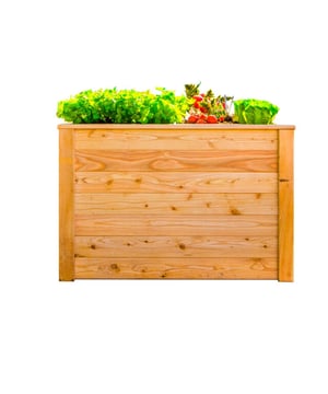 
Zelfcateraars opgelet - de praktische Westmann verhoogde plantenbak klassieker is gemaakt van FSC® - gecertificeerd larikshout FSC® C176306 | vervaardigd en overtuigt door zijn hoogwaardige uitstraling en grote cultuuroppervlak.Hoogwaardig massief houten frame, natuurlijke uitstraling, traditioneel verhoogd bedontwerp - Westmann heeft met het Classic Raised Bed een minimalistisch en efficiënt verhoogd bed geproduceerd. Ook op het gebied van duurzaamheid scoort de verhoogde plantenbak omdat hij gemaakt is van FSC®-gecertificeerd larikshout FSC®C176306. Larikshout is een van de hardste houtsoorten in huis en wordt als bijzonder stabiel en duurzaam beschouwd. De aangename hoogte van het verhoogde bed zorgt voor een rugvriendelijk tuincomfort en draagt ​​bovendien bij aan een betere opwarming van de aarde – dit zorgt voor een betere groei van uw planten. Nog een voordeel: voor een verhoogd bed heb je geen eigen tuin nodig. Omdat er slechts weinig ruimte nodig is, is tuinieren op uw eigen balkon of terras ook mogelijk. Het verhoogde bed is ook ideaal als individuele erfafscheiding en is daardoor decoratief en praktisch tegelijk.Speciale kenmerken:Larikshout | FSC® - gecertificeerd | FSC®C176306Bijzonder hoogwaardig, duurzaam & stabielNatuurlijk houtRoyale culturele ruimteComfortabel tuinieren op de ideale werkhoogteVerbeterde opwarming van het plantmateriaalEenvoudige montageInbegrepen bij de leveringBeschermfolieLet op:Het hout van Westmann verhoogde bedden is onbehandeld. Om de visuele conditie zo lang mogelijk te behouden, raden wij u aan het hout van uw verhoogde bed te behandelen voordat u het voor de eerste keer gebruikt. - Afmeting: - Kleur: Bruin - Materiaal: Hout