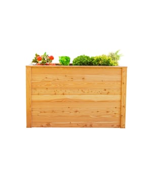 
Deze praktische Westmann verhoogde plantenbak is gemaakt van FSC® - gecertificeerd larikshout FSC® C176306 | vervaardigd en overtuigt door zijn hoogwaardige uitstraling en grote cultuuroppervlak.Hoogwaardig massief houten frame, natuurlijke uitstraling, traditioneel verhoogd bedontwerp - Westmann heeft met het Classic Raised Bed een minimalistisch en efficiënt verhoogd bed geproduceerd. Ook op het gebied van duurzaamheid scoort de verhoogde plantenbak omdat hij gemaakt is van FSC®-gecertificeerd larikshout FSC®C176306. Larikshout is een van de hardste houtsoorten in huis en wordt als bijzonder stabiel en duurzaam beschouwd. De aangename hoogte van het verhoogde bed zorgt voor een rugvriendelijk tuincomfort en draagt ​​bovendien bij aan een betere opwarming van de aarde – dit zorgt voor een betere groei van uw planten. Nog een voordeel: voor een verhoogd bed heb je geen eigen tuin nodig. Omdat er slechts weinig ruimte nodig is, is tuinieren op uw eigen balkon of terras ook mogelijk. Het verhoogde bed is ook ideaal als individuele erfafscheiding en is daardoor decoratief en praktisch tegelijk.Speciale kenmerken:Larikshout | FSC® - gecertificeerd | FSC®C176306Bijzonder hoogwaardig, duurzaam & stabielNatuurlijk houtRoyale culturele ruimteComfortabel tuinieren op de ideale werkhoogteVerbeterde opwarming van het plantmateriaalEenvoudige montageInbegrepen bij de leveringBeschermfolieLet op:Het hout van Westmann verhoogde bedden is onbehandeld. Om de visuele conditie zo lang mogelijk te behouden, raden wij u aan het hout van uw verhoogde bed te behandelen voordat u het voor de eerste keer gebruikt. - Afmeting: - Kleur: Bruin - Materiaal: Hout