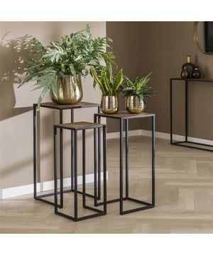 
Deze trendy bloemzuil set van 3 is uitgevoerd in 'metallic' antiek brons. Op het blad zit een hele mooie bewerking welke een unieke uitstraling geeft. De zuilen kunnen naar eigen inzicht speels bij elkaar neergezet worden. Deze set is een echte eye-catcher en maakt deel uit van de 'metallic' serie.AfmetingenB: 35 cm, D: 35 cm, H: 70 cm / B: 30 cm, D: 30 cm, H: 65 cm / B: 25 cm, D: 25 cm, H: 60 cm - Afmeting: 35x35x70 - Kleur: Grijs - Materiaal: Metaal