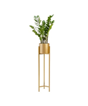 
Gouden plantenstandaard met strak design Geef je interieur een vleugje luxe met de QUVIO plantenstandaard metaal. Dit pronkstuk brengt niet alleen je planten naar nieuwe hoogtes, maar dient ook als een stijlvolle toevoeging aan elke kamer. Met zijn gouden afwerking en strakke lijnen is deze plantensteun een ware eye-catcher. Zet je planten in de schijnwerpers met de QUVIO plantenstandaard - een stijlvolle mix van design en stevigheid.  Producteigenschappen Merk: QUVIO Goud Afmetingen standaard inclusief pot : 22 x 22 x 90 cm (lxbxh) Afmetingen standaard: 22 x 22 x 85 cm (lxbxh) Afmetingen bloempot : 20 x 18 cm  (dxh) Afmetingen binnenkant bloemenpot: diameter 18,5 cm Geschikt voor 1 plant Gewicht: 1,75 kg  Robuustheid in een stijlvol jasje Deze plantensteun is niet alleen een lust voor het oog, maar ook gebouwd om lang mee te gaan. Gemaakt van hoogwaardig metaal, biedt het stevigheid en stabiliteit voor jouw planten. Of je nu een kleine palm of een sierlijke varen tentoonstelt, deze bloempothouder zal je niet teleurstellen.  Perfect passend voor binnen De QUVIO plantensteun, ontworpen voor gebruik binnenshuis, brengt elegantie in elke ruimte met zijn gestroomlijnde vormgeving. Deze plantenstandaard is perfect voor bloempotten die qua afmetingen passen binnen de gespecificeerde grootte van de bloempotruimte, waardoor het geen overbodige ruimte inneemt. Een ideale keuze voor wie zijn interieur een stijlvol groen accent wil geven.  Elegante uitstraling De gouden kleur van de plantenstandaard brengt onmiddellijk een gevoel van warmte en luxe in je kamer. Met een design dat zowel tijdloos als modern is, tilt dit product je huis- of kantoortuin naar een hoger niveau. Gebruik het als een plantenstandaard, plantenrek, of als een solo statement stuk de mogelijkheden zijn eindeloos.Materiaal: MetaalKleur: GoudAfmetingen: Hoogte: 90CM x breedte: 22CM x Lengte: 22CM