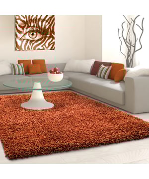 
Modern tapijt uit de Himalaya Basic collectie. 100% Polypropyleen Shaggy, 48.500 knopen per m2, 30mm Poolhoogte, 2.000 gr m2 - 200x290 CM Himalaya Basic Shaggy Hoogpolig vloerkleed. Zeer mooi hoogpolig vloerkleed. De vloerkleden uit de Himalaya basic collectie zijn dik geknoopt met een poolhoogte van 30 mm en ruim 2 kg per vierkante meter. Ideaal in je woonkamer of onder de eettafel. Naast een zacht en comfortabel gevoel beschikt dit materiaal over diverse goede eigenschappen waardoor het tapijt pluisvrij en gemakkelijk schoon te maken is. Productspecificaties: 100% Polypropyleen Poolhoogte 30 millimeter Gewicht van 2.000 gr/m2 Land van herkomst: Turkije Fabricage: Machinaal Anti-statisch en Anti-allergisch Kleurvast en waterafstotend Merk: Muratap Materiaal: Polypropyleen Kleur: Oranje;Terra Afmetingen: 200x290 CM