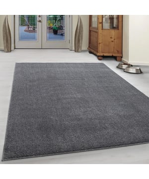 
Basics: Houd het simpel en eenvoudig met de Effen Laagpolige vloerkleden uit de Basics collectie. - 160x230 CM   Met een poolhoogte van 12mm is dit vloerkleed lekker laagpolig en geschikt voor vloerverwarming. Dit vloerkleed is super vol geweven met 246.000 knopen per vierkante meter. Dit vloerkleed is anti-statisch en anti-allergisch. Gemakkelijk in onderhoud en zeer gemakkelijk te stofzuigen. Dit model beschikt over meerdere contrasterende kleuren en geeft een mooie sfeer in elk interieur. Artikeldetails: 246.000 pooldraden/m2 Gewicht 2 kg/m2 Materiaal onderkant: Jute Materiaalsamenstelling 100% polypropyleen Frisee Poolhoogte 12 mm Productietechniek: Machinaal geweven Loopgeluiddempend Keurmerk Merk: Muratap Materiaal: Polypropyleen Kleur: Licht grijs Afmetingen: 160x230 CM EAN: 7444707987975