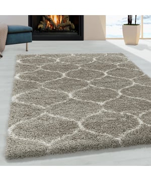 
Design Hoogpolige vloerkleden. Dit vloerkleed geeft met zijn bijzondere patroon een unieke look aan de ruimte. - 160x230 CM  Himalaya Opera Hoogpolige Shaggy VloerkledenDe Himalaya Opera Collectie zorgt met zijn moderne designs voor een bijzonder warme sfeer in huis. Dit vloerkleed is geschikt in zowel de woonkamer als in slaapkamers.Met zijn Poolhoogte van ruim 30mm is dit vloerkleed bijzonder dik geknoopt.- Vlekbestendig en onderhoudsvriendelijk omdat het kleed is gemaakt van synthetische vezels. - Kleurvast, waterafstotend, antistatisch en anti-allergisch. - Naast een zacht en comfortabel gevoel beschikt dit materiaal over diverse goede eigenschappen waardoor het tapijt pluisvrij en gemakkelijk schoon te maken is. Productspecificaties: 100% Soft Touch Polypropyleen Poolhoogte : 30mm Gewicht = 2.100gr/m² Geluiddempend Geschikt voor vloerverwarming Anti-statisch en Merk: Muratap Materiaal: Synthetisch Kleur: Beige Afmetingen: 160x230 CM EAN: 6017422068031