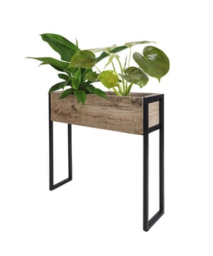 
Met bloemen en planten geef je jouw interieur een exotische twist. Met Plantenbak Faab waan jij je binnen in een groene oase en tropische sferen. Wist je dat Faab ook te gebruiken is als lectuurbak? Waar gaat jouw voorkeur naar uit, planten of boeken en tijdschriften? Met deze prachtige plantenbak/ tijdschriftenbak kun je planten, kranten, tijdschriften etc. overzichtelijk en decoratief opbergen. Door het moderne, stoere design is de lectuurbak een echte blikvanger. Door het formaat is de bak gemakkelijk naast je bank te plaatsen, zodat je al je favorieten spullen binnen handbereik hebt. Merk: Home67 Materiaal: Mangohout,Metaal Kleur: Zwart;Bruin EAN: 7141047084325