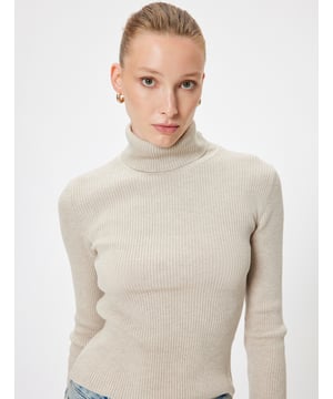-Regular -Ohne Tasche -Normale Länge -Langärmelig -Rollkragen -Sweater